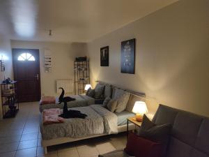 Appartements Au pied du Chateau : Appartement 1 Chambre