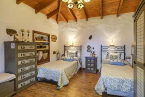 Casa Olympia, Tamaimo