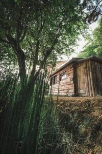 Chalets La cabane en bois : photos des chambres