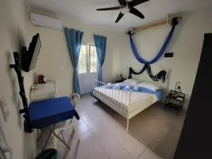 Black Fig - Pachaina