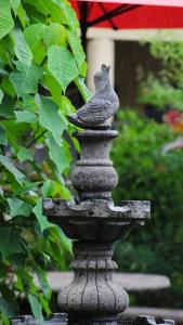 Rustic Luxury Retreat Near Historic Zacatlan