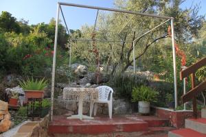 Apartments by the sea Molunat, Dubrovnik - 8550