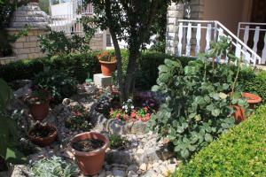 Apartment Kukljica 8237c