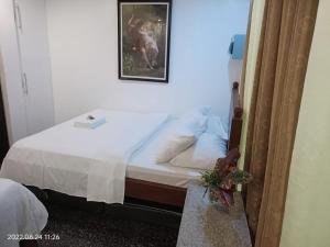 CHIEFS VILLA Rentals Malapascua Island