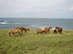 Maisons de vacances Semi-detached house with sea views, Porspoder : photos des chambres