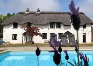 April Cottage, luxurious accommodation for coast and forest with pool & hot tub - New Milton