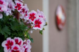 Hotel-Restaurant Eyholz