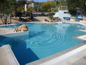 Meraki Apartments and Studios