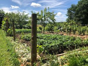 Maisons de vacances Gite de la Sonnette : photos des chambres