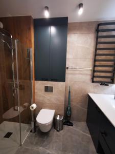 Leśny Apartament nad Zalewem No3 - basen w odległości około 100 m