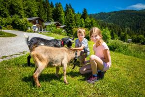 Reitlhof am Sonnenhang Bio-Bergbauernhof bei Salzburg