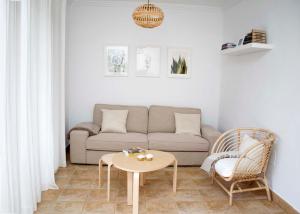 Retama del Teide, Puerto de la Cruz