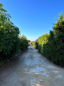 Maisons de vacances Le Bourg : photos des chambres