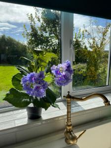 Butterfly Guesthouse - Entire Home within 5km of Galway City