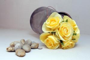 Gallery Home
