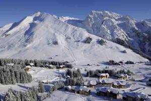 Appartements Appartement la Clusaz avec terrasse sur les pistes de ski : photos des chambres