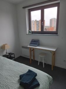 Appartements Roubaix pres Lille, un cocon en plein centre : photos des chambres