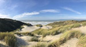 Maisons de vacances Bons Baisers du Touquet - Maison avec acces direct aux dunes : photos des chambres