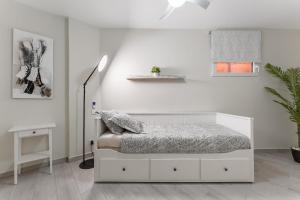 Apartment in the Orlando Complex