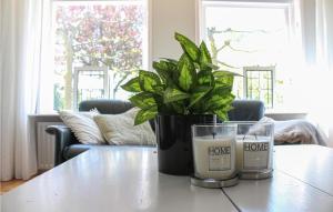 Amazing Home In Scharendijke With Wifi