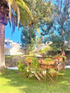 Marysol - Lovely studio Tenerife sur