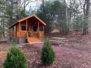 Lakewood Park Campground - Luxury Cabin