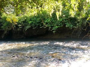 สวนลุงวรRanongGlamping