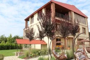 Villa Vitis - Chikaani