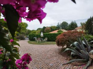 Appart'hotels Hotel Studios Les Acacias : photos des chambres