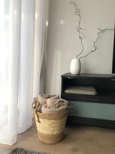 Cosy 1 bedroom apartment in the heart of old town with parking