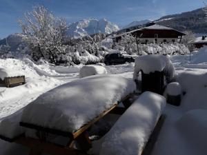 Appartements CHALET VALLEE BLANCHE : photos des chambres