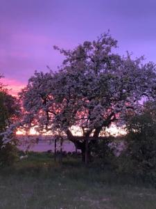 Svinaberga Skola. Eget boende i gammal skolsal.