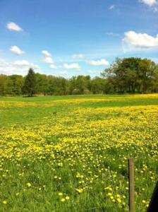 Svinaberga Skola. Eget boende i gammal skolsal.