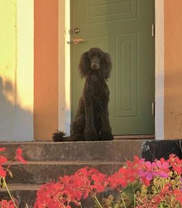 Svinaberga Skola. Eget boende i gammal skolsal.
