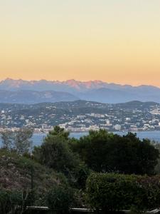 Appartements Vue mer et sur la baie de Cannes piscine 450m2 randonnee VTT au pied de l Esterel : photos des chambres