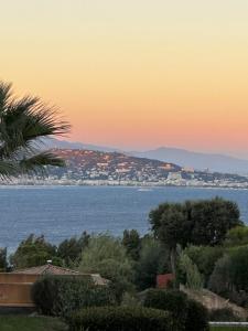 Appartements Vue mer et sur la baie de Cannes piscine 450m2 randonnee VTT au pied de l Esterel : photos des chambres