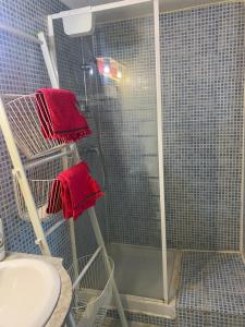 Appartements Studio au calme a la campagne 10mn centre ville : photos des chambres