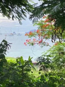 Le Toutapied , Sainte-Anne, appartement en plein centre - Caritan