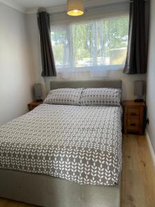 265 Belle Aire, Modern Property