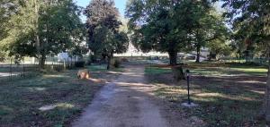 Le Domaine dÉlise Chambres et table dhôtes - Vosges