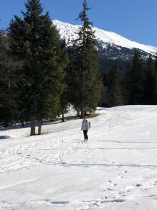 Appartements AU PIED DU VERCORS TOUT EST PERMIS : photos des chambres