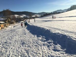 Appartements AU PIED DU VERCORS TOUT EST PERMIS : photos des chambres