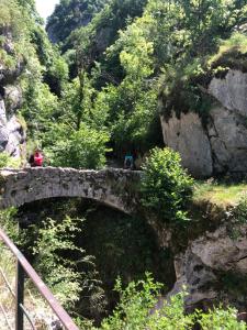 Appartements AU PIED DU VERCORS TOUT EST PERMIS : photos des chambres