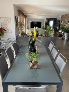 Villa en bordure de Garrigue