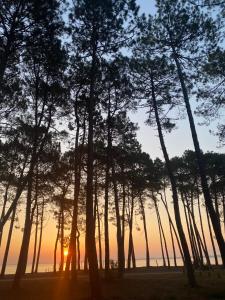 Appartements Appartement 3p, 72m2, centre ville, parking prive tout confort : photos des chambres