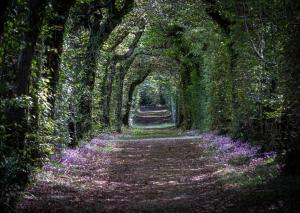 Hotels La Borde en Sologne Chateau & Spa : photos des chambres