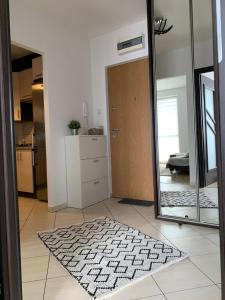 Uroczy apartment z darmowym parkingiem