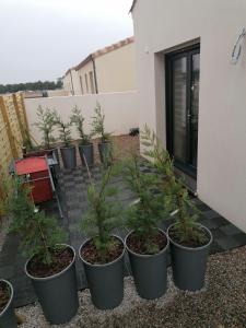 Appartements Studio BLEU, Neuf, classe 3 etoiles, Clim, Wifi, Lave-linge, Lit King Size, au calme et a 800m des plages de Valras Plage : photos des chambres