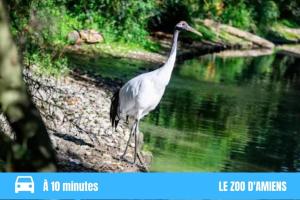 STUDIO COSY GARE AMIENS TOUT ÉQUIPÉ WIFI NETFLIX 2PERS