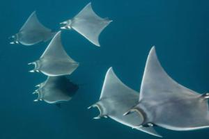 Cocon lumineux proche de la ville fortifiée et de Nausicaa